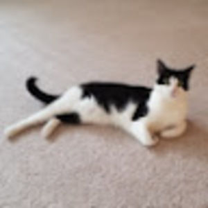 Meet your Posher, Xu